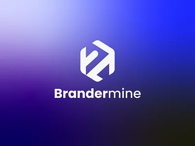 Brandermine AI Software Service Company Logo modern branding