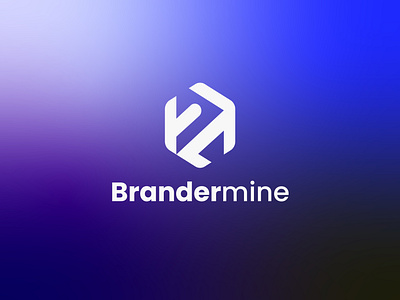 Brandermine AI Software Service Company Logo modern branding