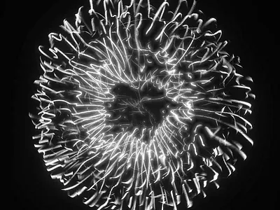 GD-IV 3d abstract animation art c4d design digital art illustration loop