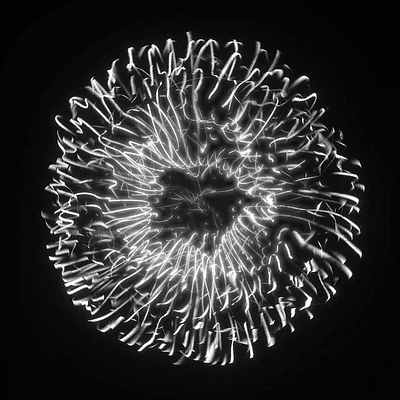 GD-IV 3d abstract animation art c4d design digital art illustration loop