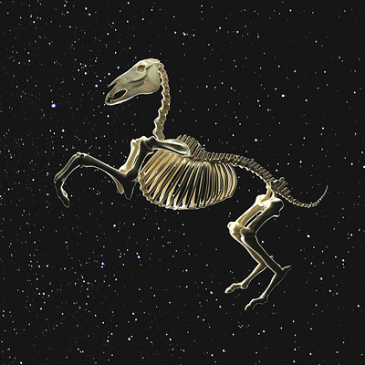 youngster 3d 3d modeling art c4d digital art horse illustration skeleton