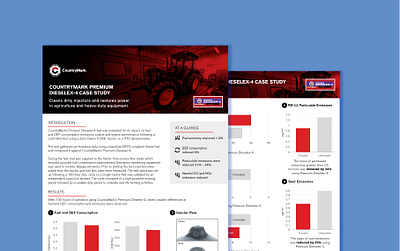 Case Study Handout flyers layout design sales