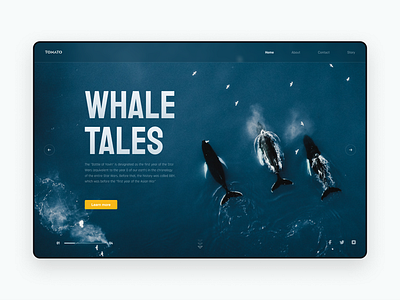 Whale Tales design ui ux web