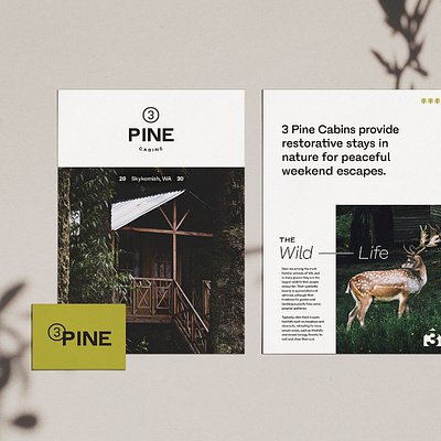 3 Pine Cabins branding cabin design graphic design print