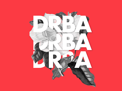 Del Ray Business Association asae brand design brand strategy branding collage art graphic design illustration logo professional association ui ux web design web development