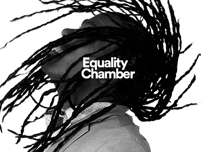 Equality Chamber of Commerce - Washington, DC art direction brand design brand strategy chamber of commerce creative direction editorial design graphic design logo photoshoot ui ux web design