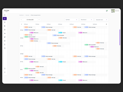 Appointments listing view analytics appointment b2b b2c businesss activity. calendar view cleanui dashboard datavisualization forecast interface management modern product design revenue services ui ux web app white