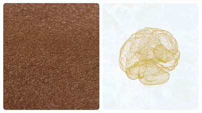 Scinq Neurocosmetics Shopify Website Design ecommerce figma shopify shopifydesign ui ux website website design