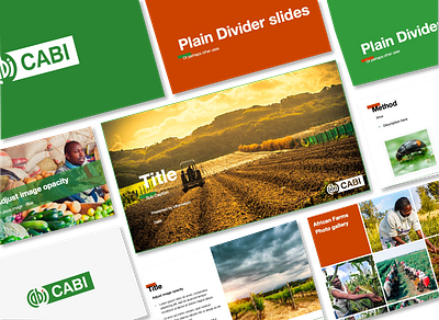 Brand Your Colors into PowerPoint Template figma presentation template google slides template illustrator template pitch deck template pitch template powerpoint template