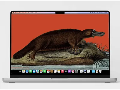 Nature’s Quirkiest Mascot animation design landing page ui web design