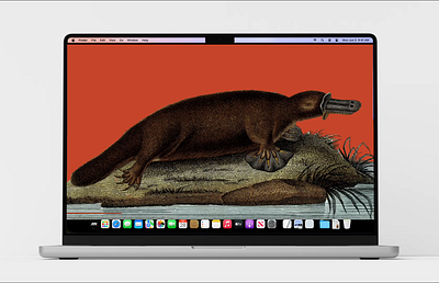 Nature’s Quirkiest Mascot animation design landing page ui web design