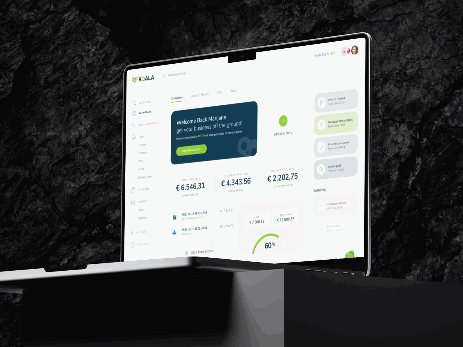 Koala web app app belgium branding brussels graphic design koala ui ui design ux design web app