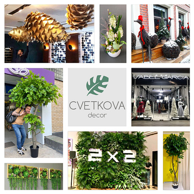 Some completed works | Cvetkova Decor ornamental plants