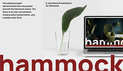 Hammock Vibes – Landing Page Concept design tilda typography ui ux webdesign website