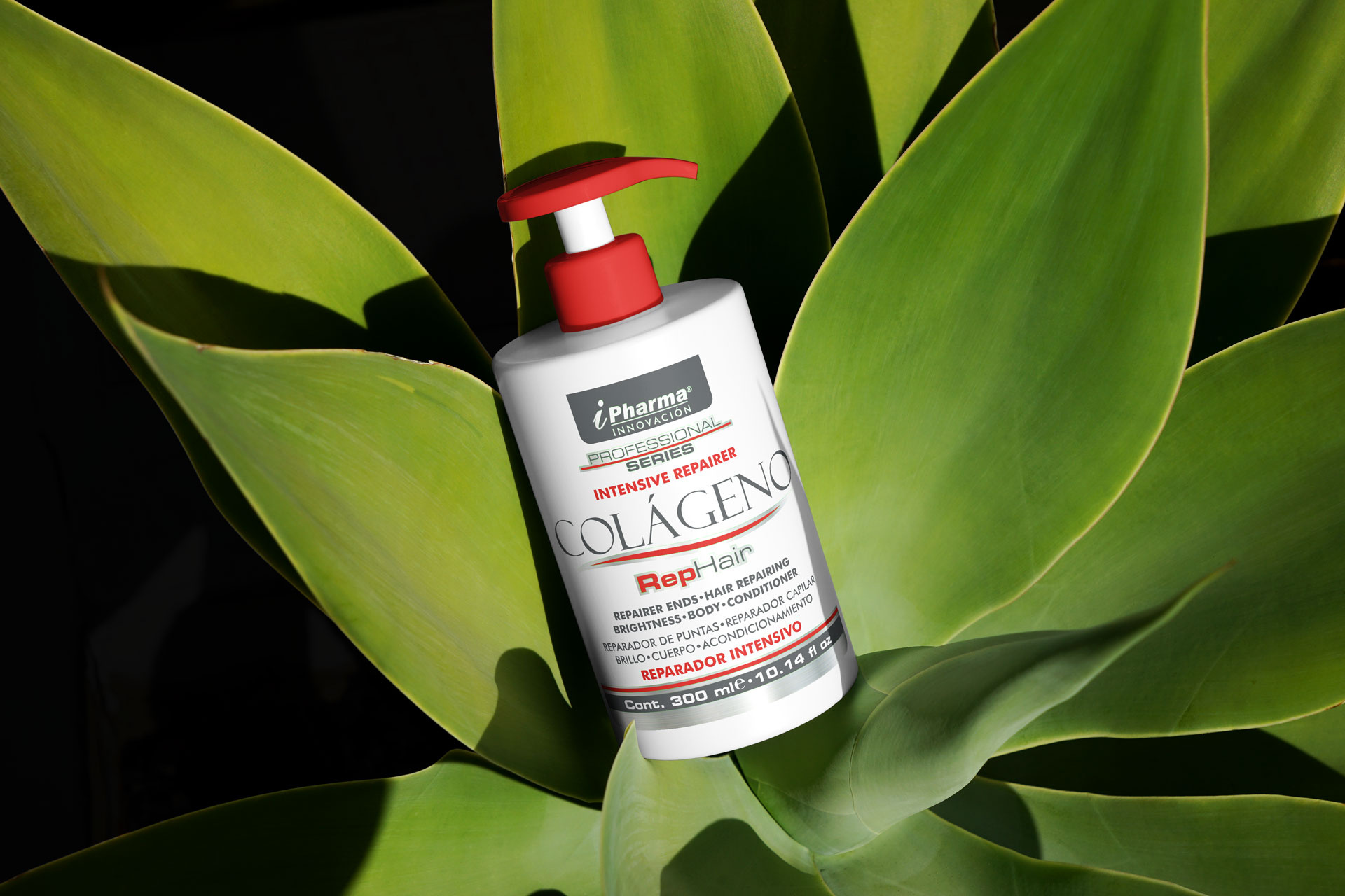 Example of Packaging Label Design