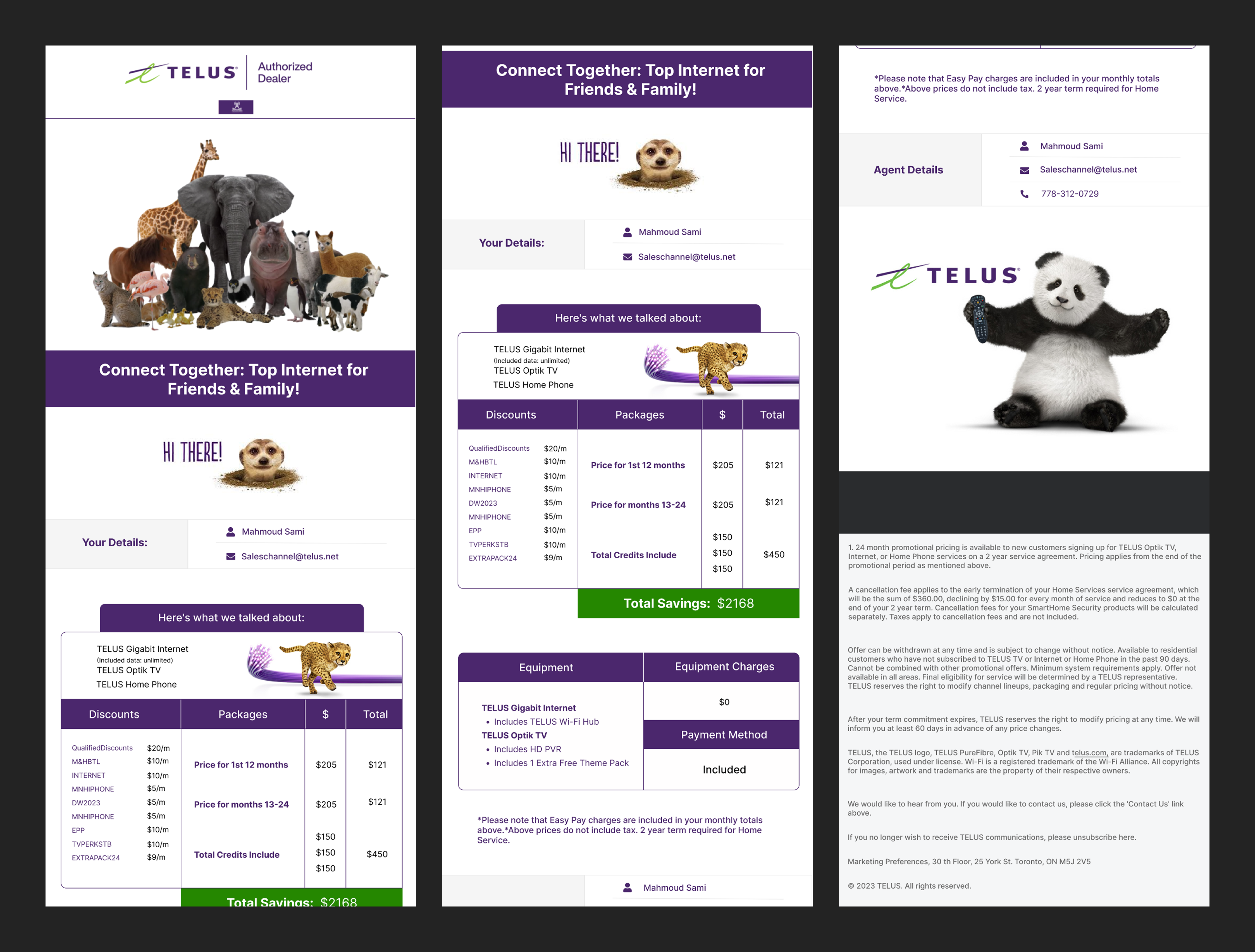 Example of I Will Design Email Templates/Newsletter
