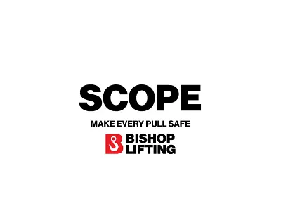 infographic designed brochure brand design branding design digital illustration graphic design