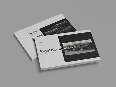 Company Profile branding design graphic design vector