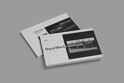 Company Profile branding design graphic design vector