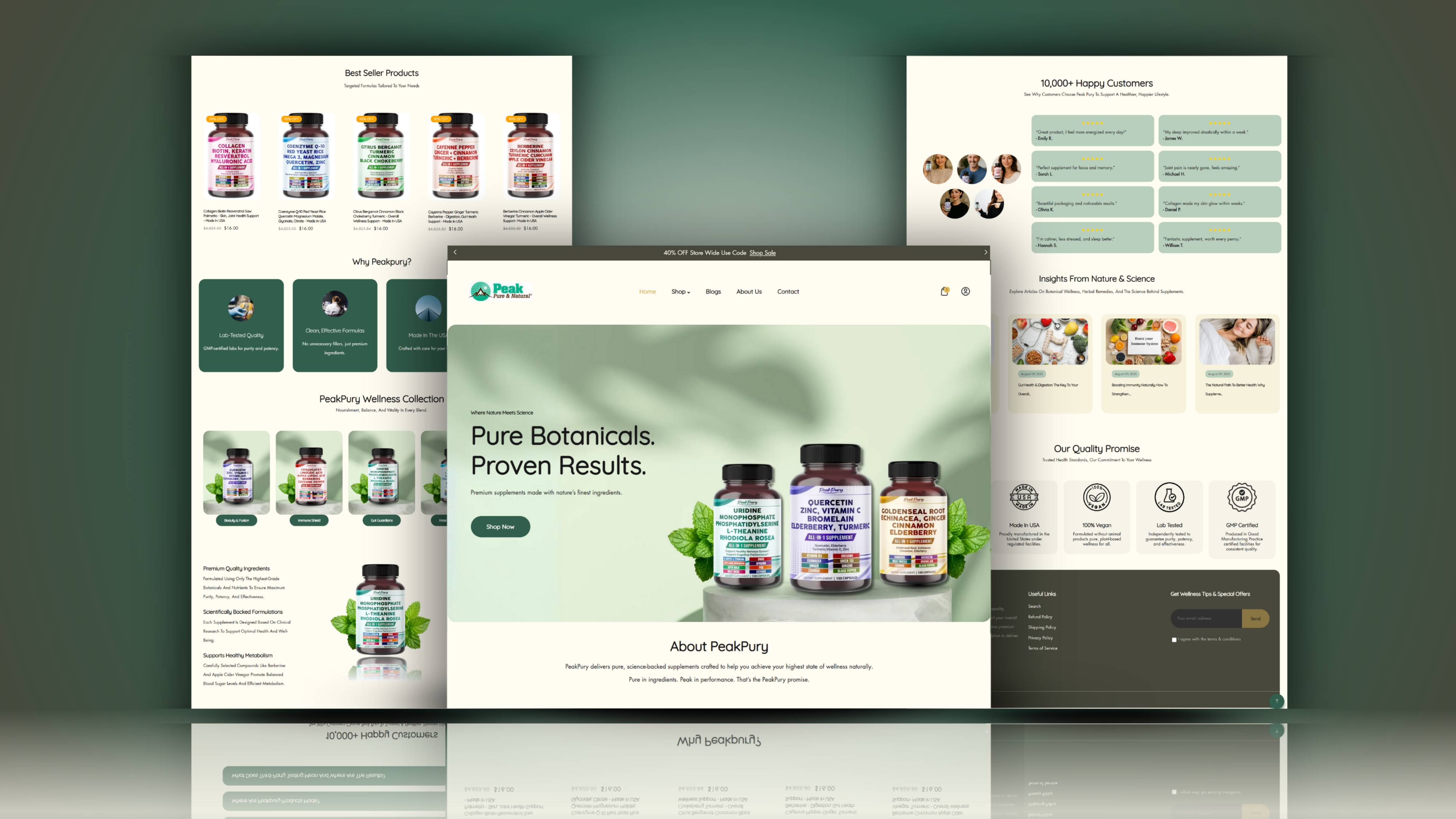 Example of Shopify Store Setup & Design (5 Pages)