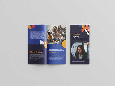 Brochure Design adobe illustration branding brochure design illustration brochures graphic design