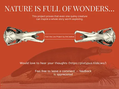 Nature is full of wonders — and so is good web design. design fashion website landing page ui web design