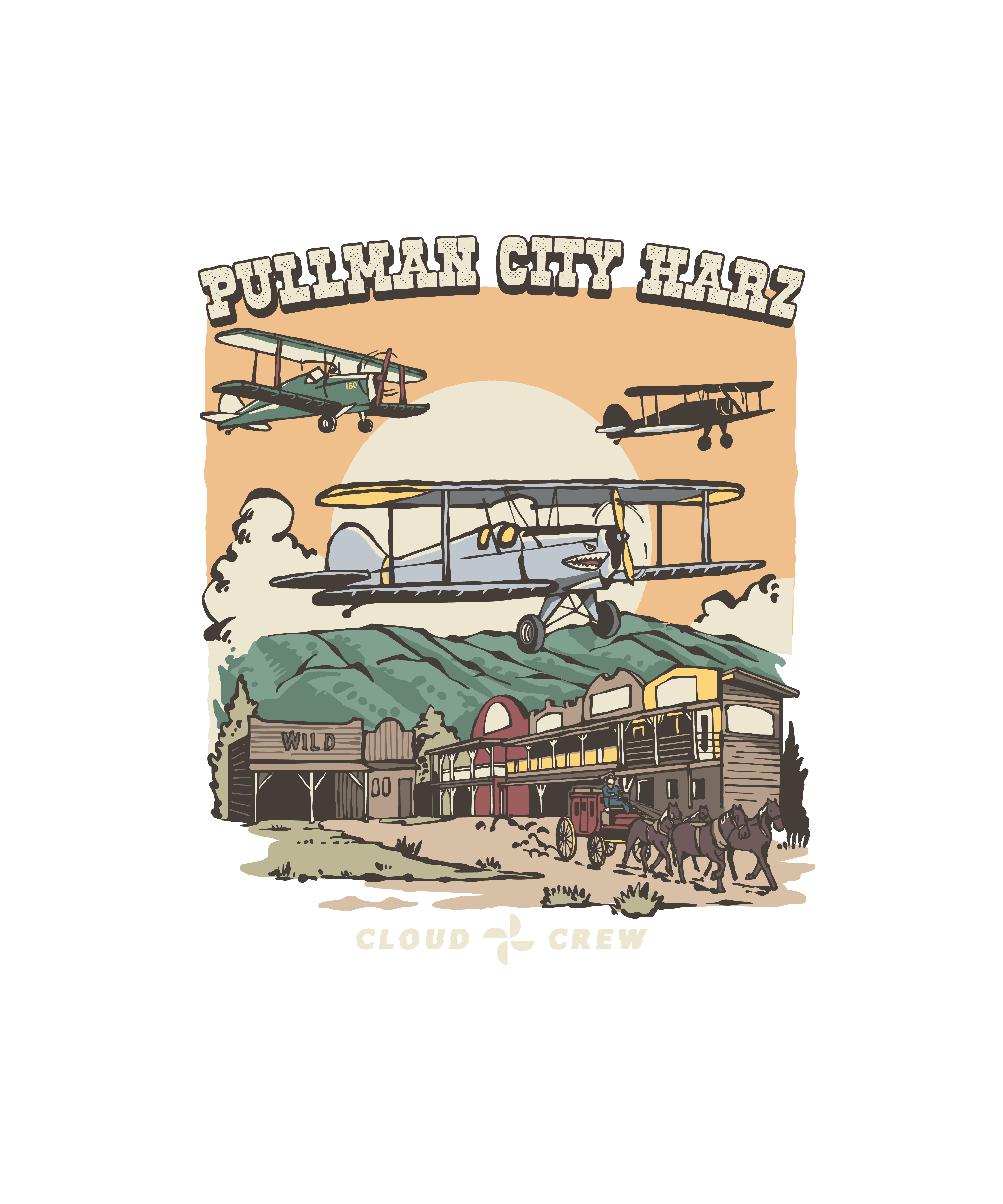 PULLMAN CITY HARZ T-SHIRT DESIGN adventure branding drawing illustration mountain plane planeillustration retro t shirt t shirt design vector vintage