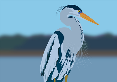 Garza 2d animal animals blue design garza graphic design illustration ilustrator vector wild