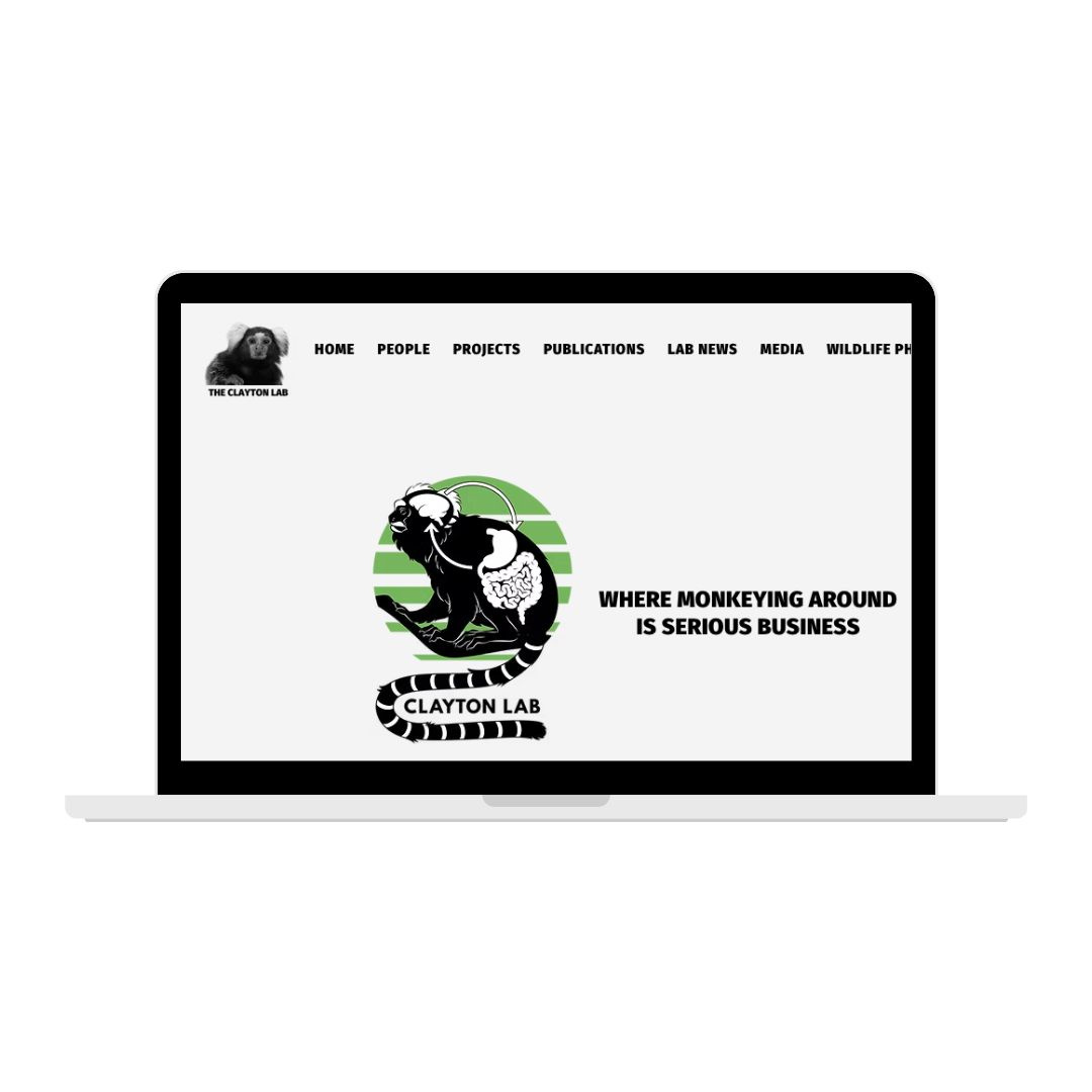 The Clayton Lab Website branding design graphic design ui ux wix