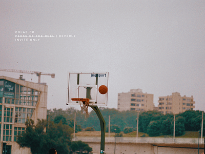 colab | potr 12