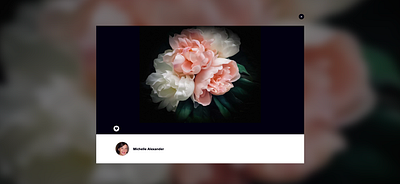 Fine Art Photography art fine art flower landscape nature photography
