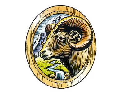 Bock-Beer branding graphic design illustration logo