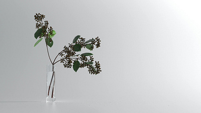 Simple plants