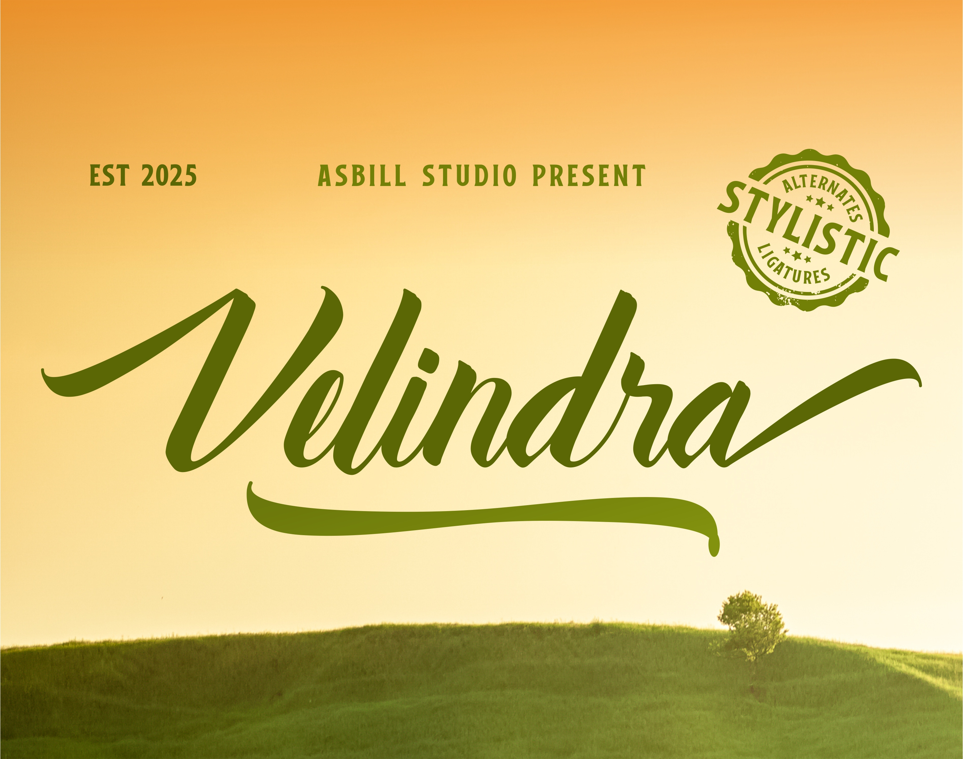 Velindra - Elegance Script Font brand identity branding display font graphic design illustration logo script typo typography
