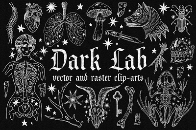 Dark Lab Bundle boho branding bundle clipart engraving gothic graphic design illustration macabre magic mystic spell tattoo vector vintage witchcraft