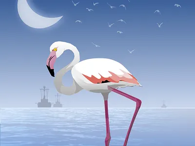 Calmness birds design graphic design illustration vector