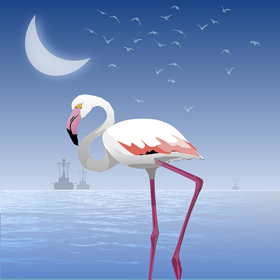 Calmness birds design graphic design illustration vector