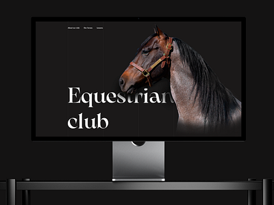 Elegant Web Design for Horse Riding Club branding design figma illustration logo ui uiux uiux design ux website design