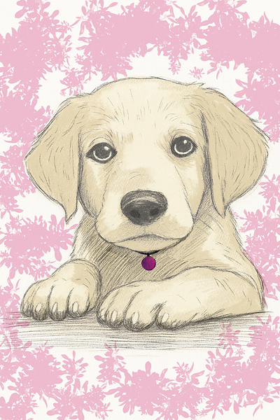 Puppy sketch design dog graphic design illustration painting puppy