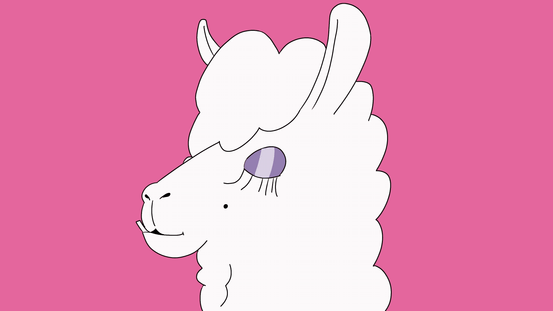 Lama 2d 2danimation animation celanimation character character animation eyes glamour hot kiss lama lips look motion graphics pink temptation