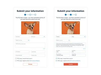 PET PROFILE app branding cat dog graphic design ios app my pet pet pet app pet care app pet chat pet friendly pet mobile pet profile pet social pet store pets pets care profile veterinary app