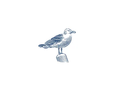Seagull for a pattern engraving etching illustration pen and ink seagull vector engraving woodcut