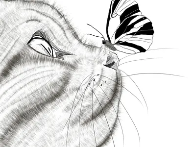 Animals Illustration pack animals animation cats chamaleon designs dogs fish fox graphic design horse illustration line art panda red panda shading