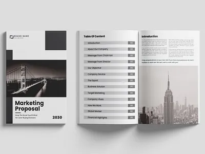 Marketing Proposal flyer landscape brochure