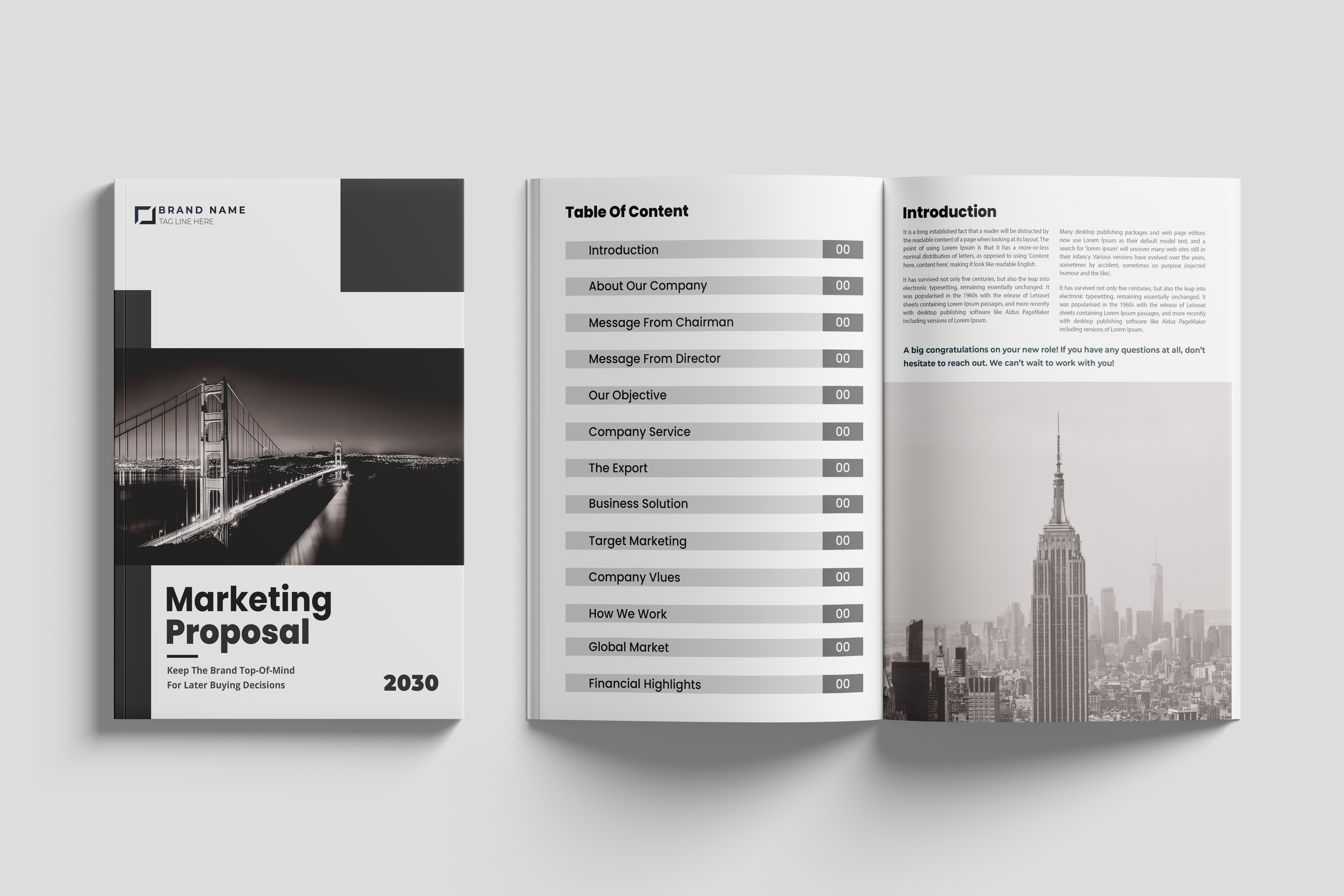 Example of Company Profile Design