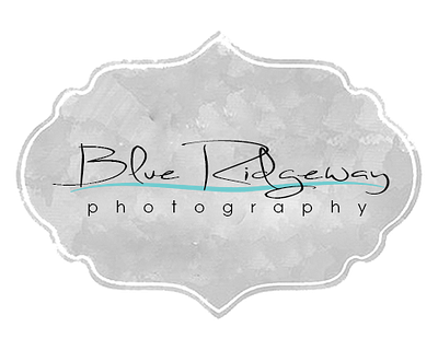 Blue Ridgeway Photography logo blue ridgeway photography business logo simple smooth wavy
