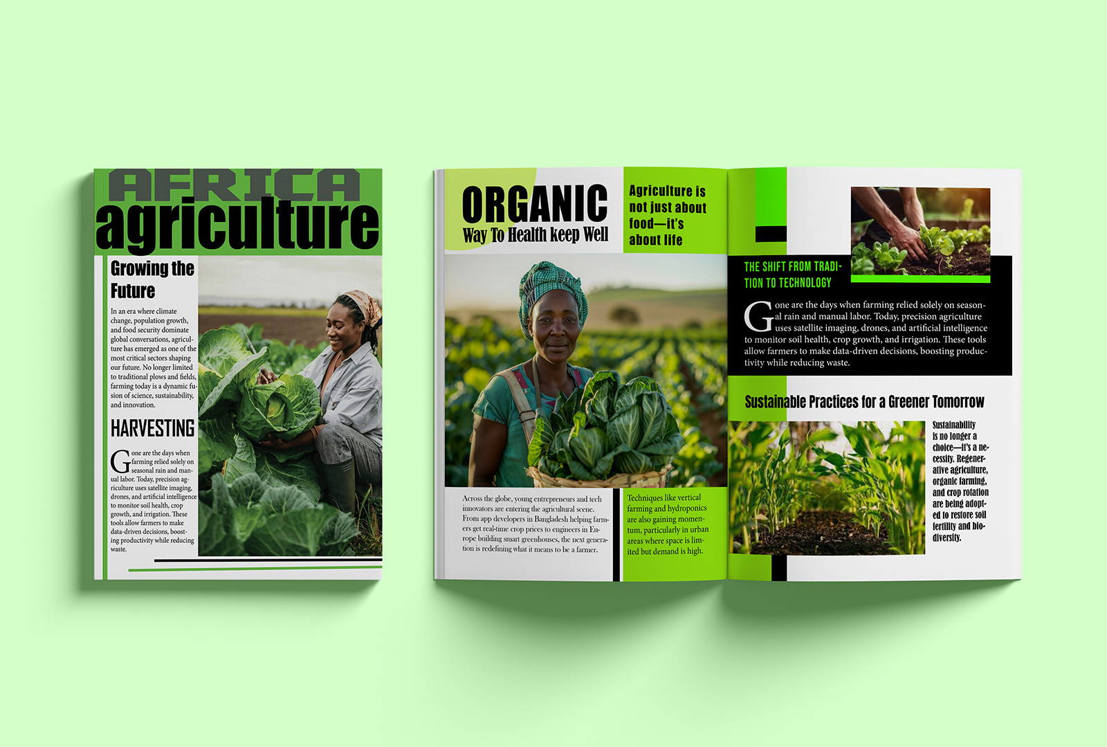 Example of Creative Magazine & Brochure Design