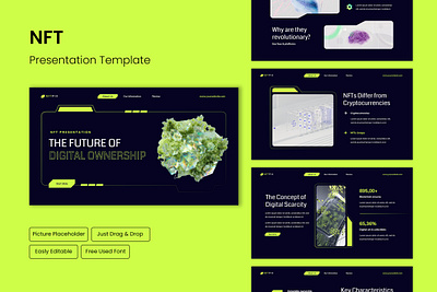 NFT Presentation online ppt presentation