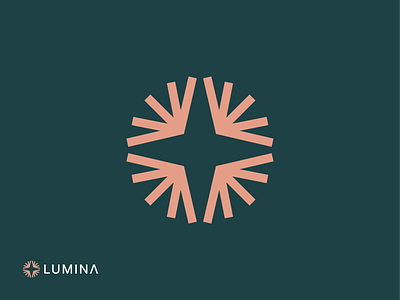 Lumina Symbol book branding logo logodesign logodesigner mark mcat test medical school mentoring star student support symbol tutoring