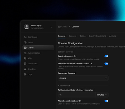 Consent consent dark mode dev tool settings